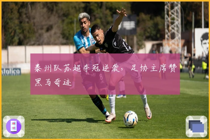 泰州队苏超夺冠逆袭，足协主席赞黑马奇迹