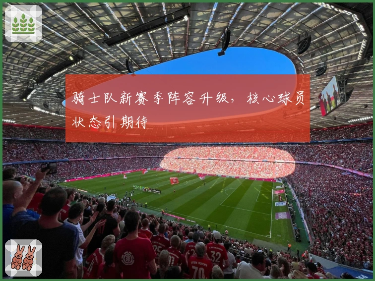 骑士队新赛季阵容升级，核心球员状态引期待